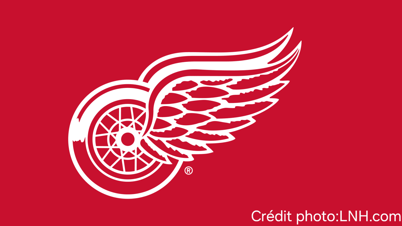 SURVOL : (29 sur 32), (8e de la division atlantique)