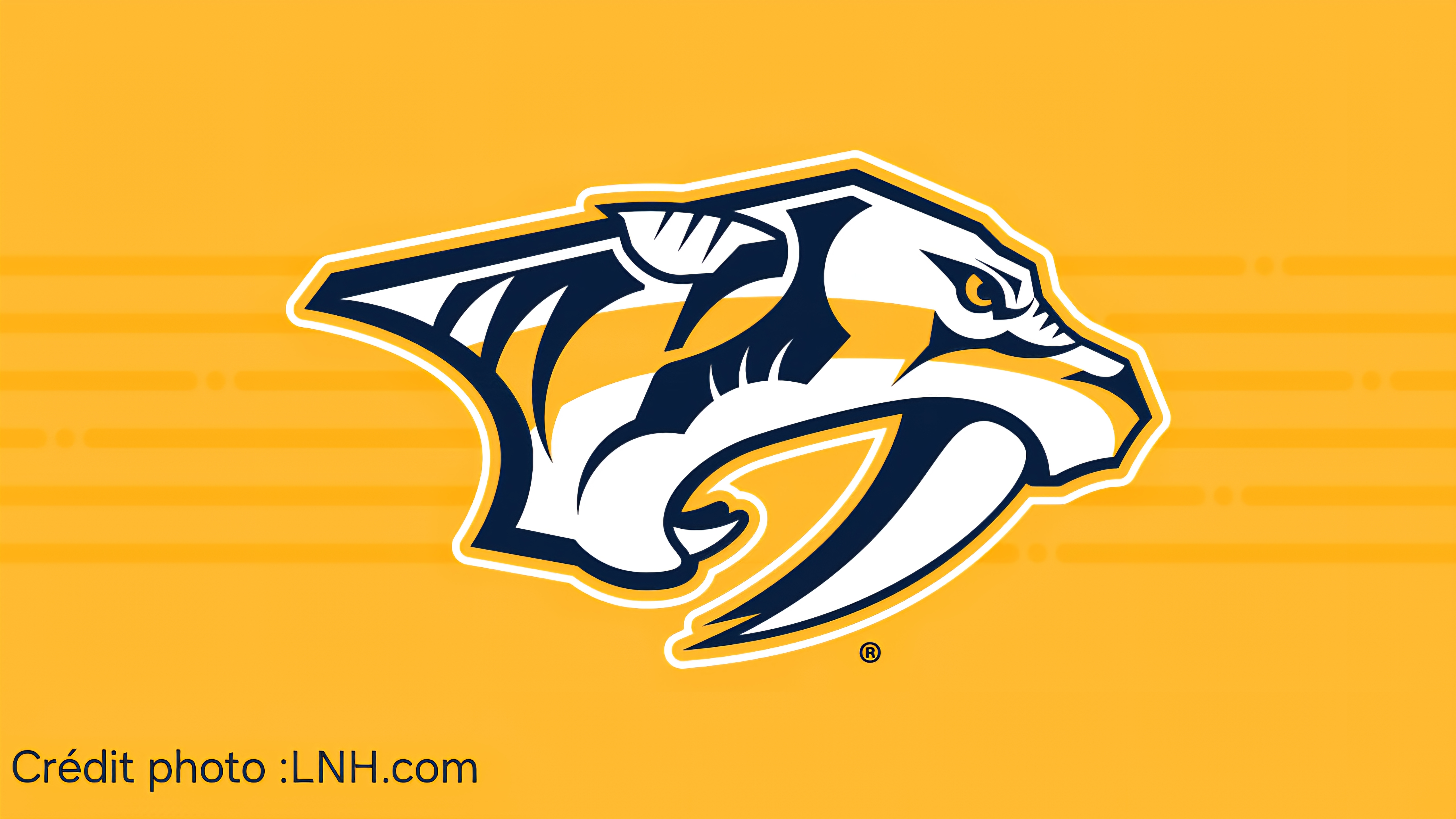 Survol : (31 sur 32), (8e de la division centrale): Prédateurs de Nashville