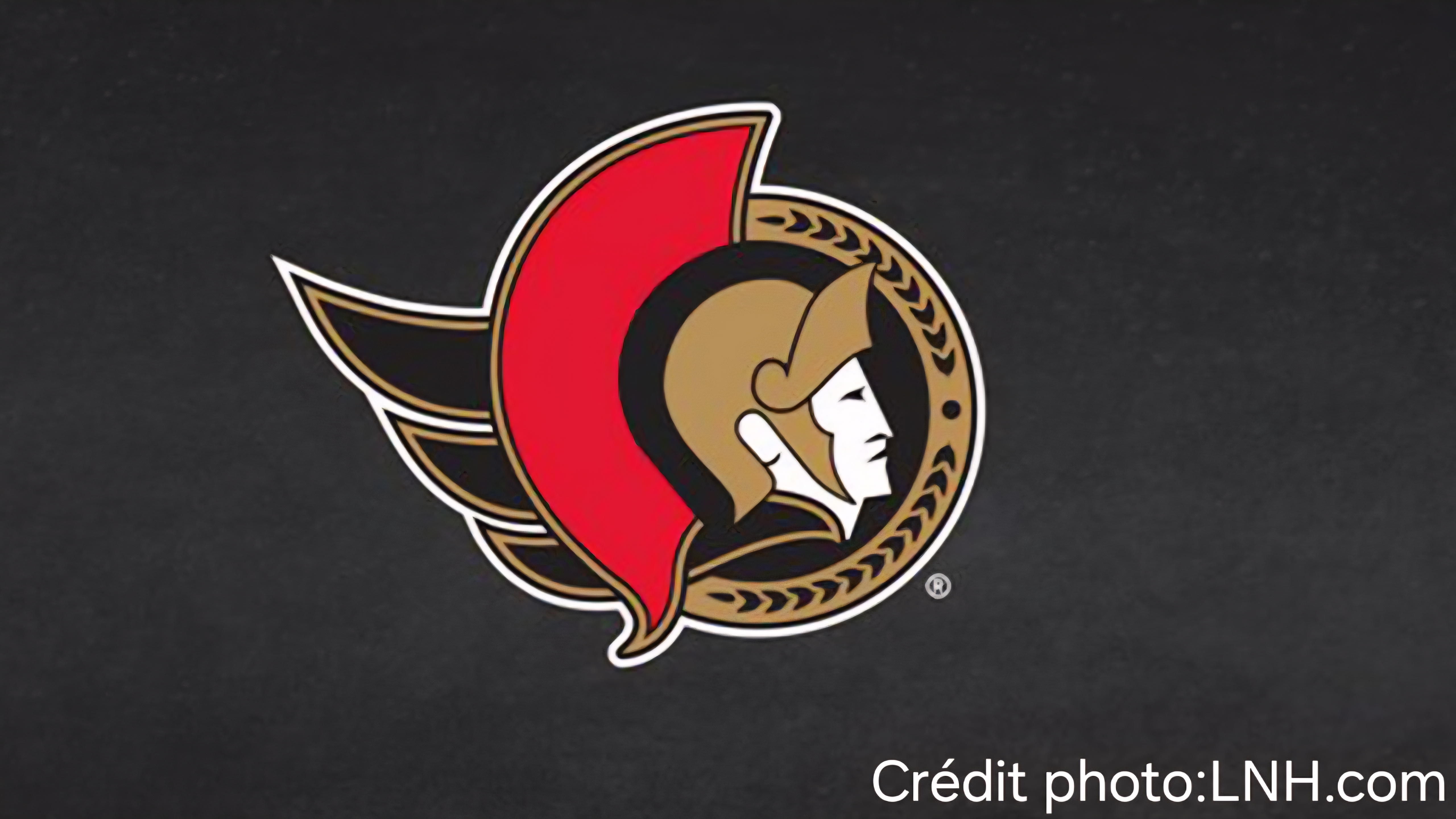 SURVOL : (15 sur 32), (4e de la division atlantique), Sénateurs d&rsquo;Ottawa