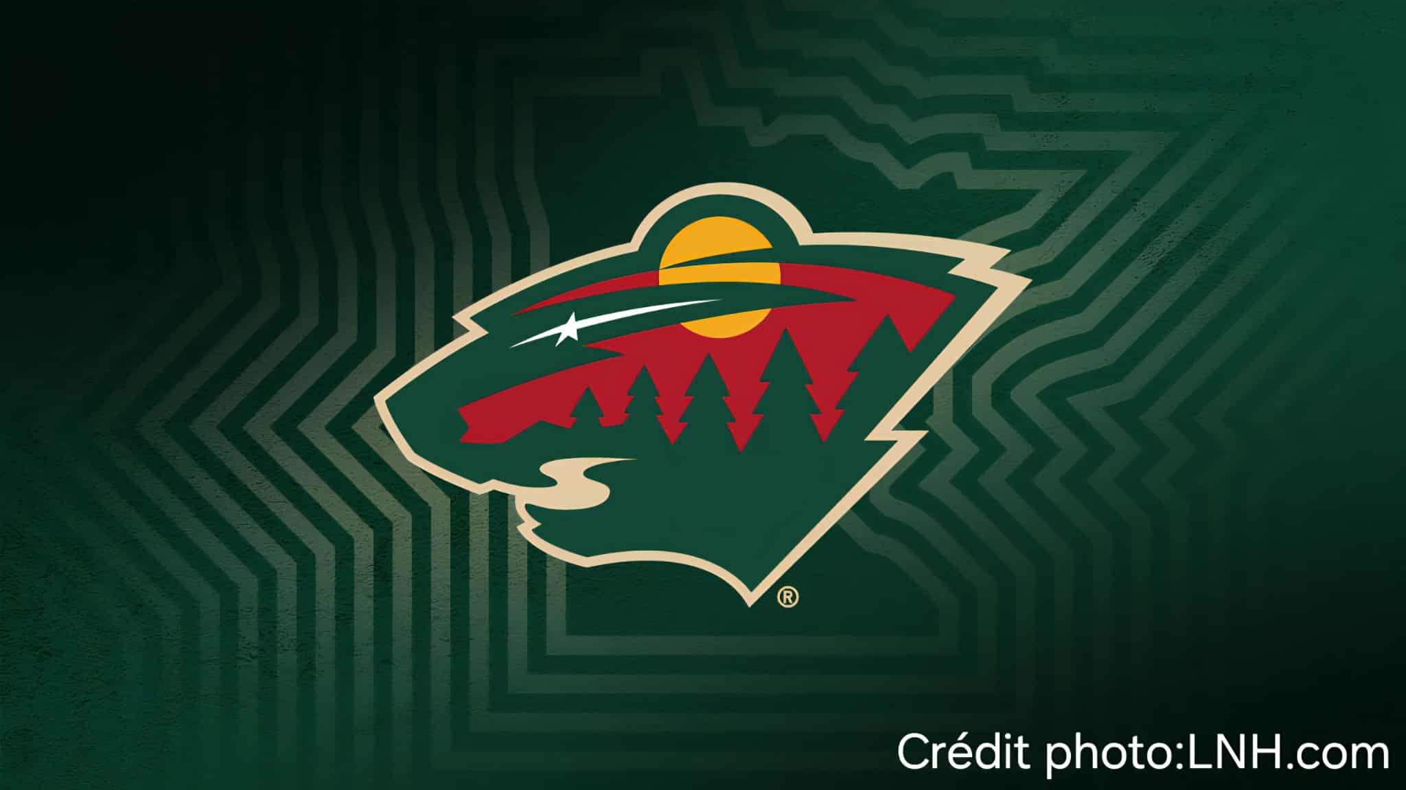 SURVOL : (14 sur 32), (5e de la division centrale), Wilds du Minnesota