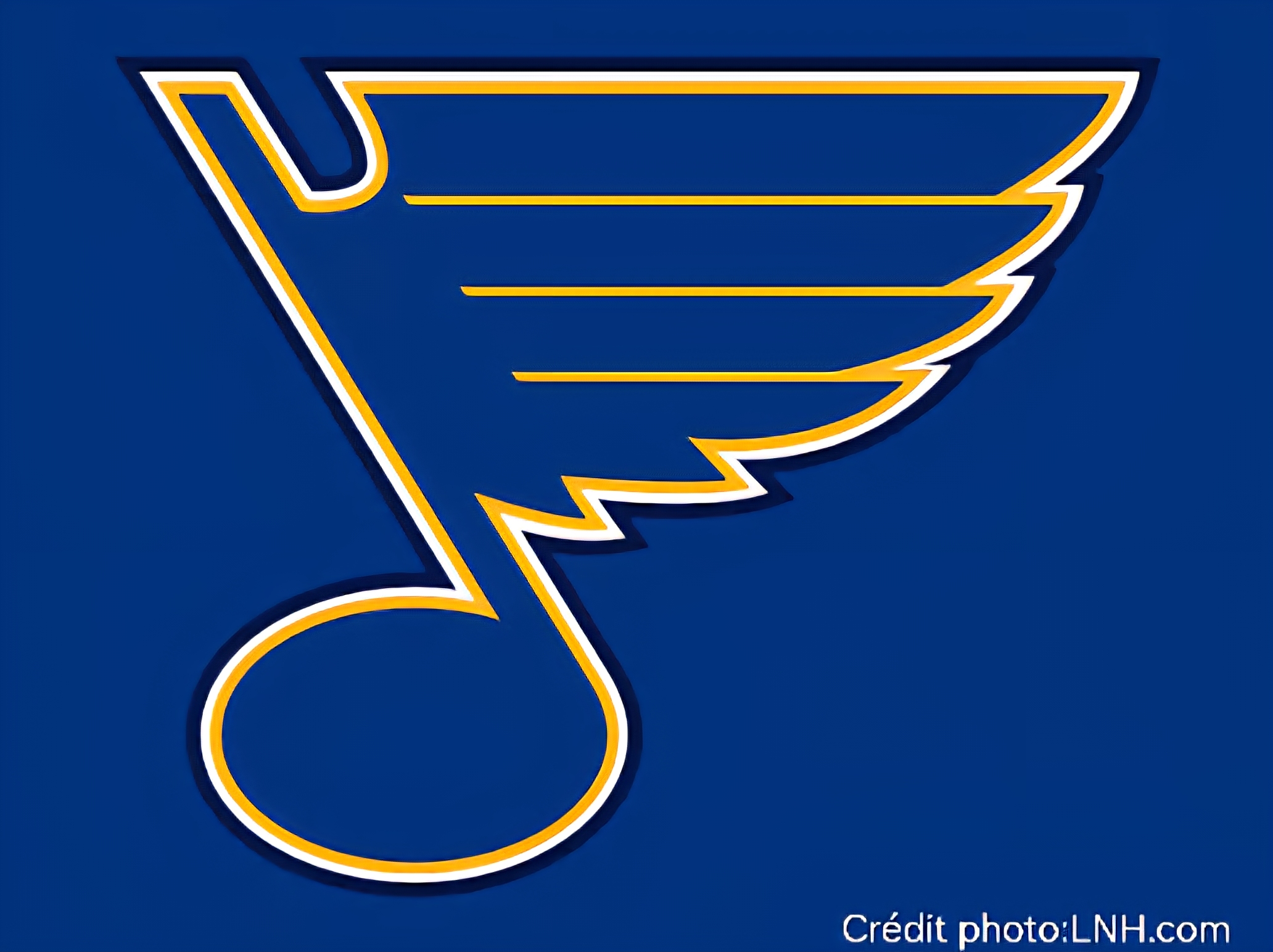 SURVOL : (10 sur 32),(4e de la division centrale), Blues de St-Louis